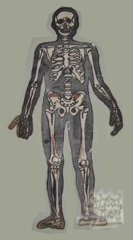 Skeleton - 1999
